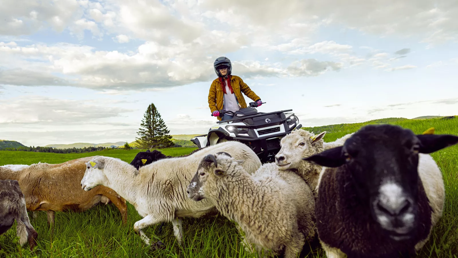 Banniere Outlander Electric 2026