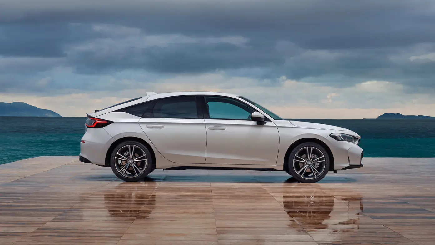 de Willermin - Vue profil