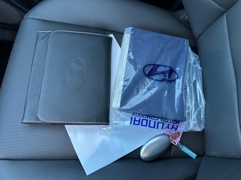 Image Hyundai IONIQ 9 BEV 110 kWh 307ch Executive HTRAC  IONIQ 9 EXECUTIVE HTRAC