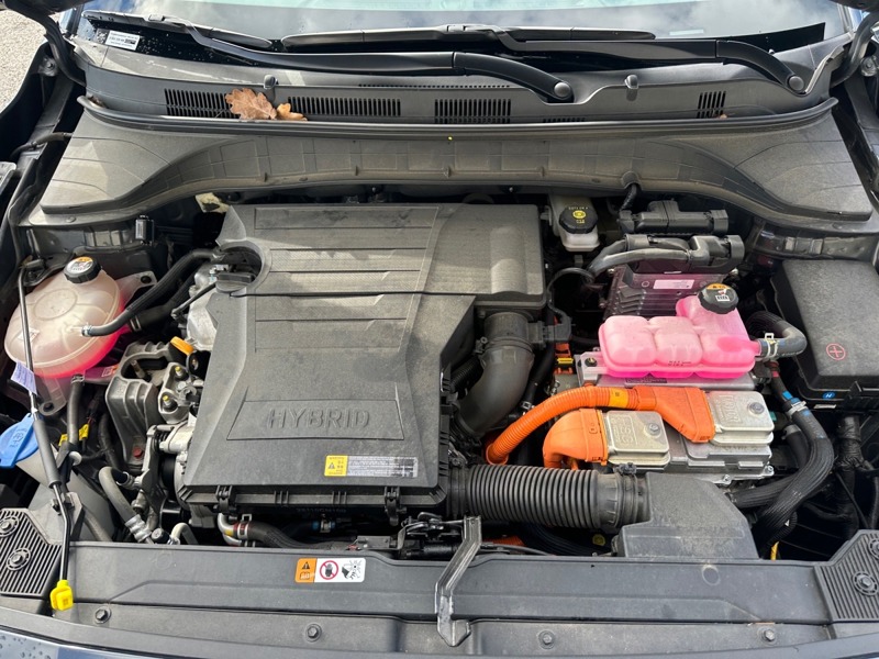 Image Hyundai KONA Executive Hybrid 2WD  1.6 141 ch 6